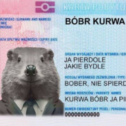 BÓBR KURWA