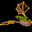 ♿Flying Frog♿