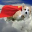 Super Corgi