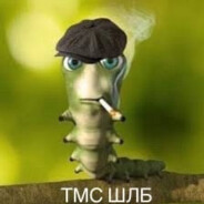 ТМС ШЛБ??