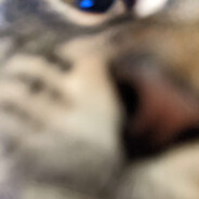 pear_rit
