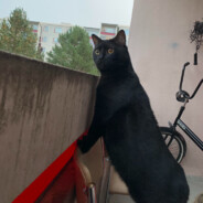 Tsenkkov - steam id 76561198810461140