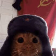 Halsen avatar