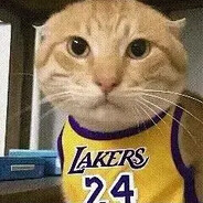 洛杉矶耄耋阿猹