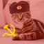 Komunistyczny Koteł