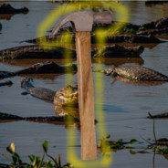 Martelo no Pantanal