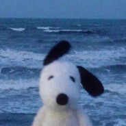 beverly hills bob Steam avatar