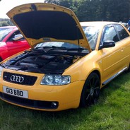 Gibbomerkstar avatar