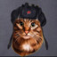 bruh бульбазавр