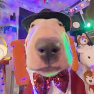 Sakuras ;3 "SAKURAS_PEEK"