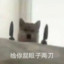 道长应该清心寡欲，而不是一直在道馆