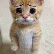 Fuckk my life😡 SKINS