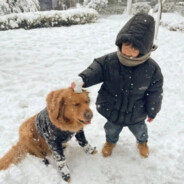 超级无敌熊战士