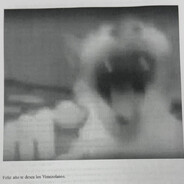 BandannaJones's avatar