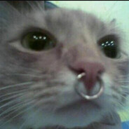 Mirri :3