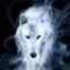 Ghost Wolf