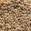 10000 Bees
