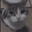 Glurkii avatar