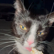 uwu bibi - steam id 76561198874786056