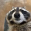 Anoツ