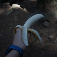 沒有櫻花蝦炒飯