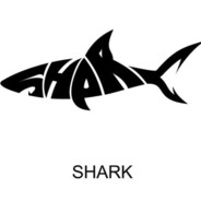 Little Shark