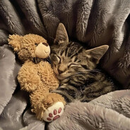 离家的那个雨夜