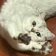 变成男娘和克拉苏玩4i