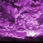 ✘_X&#039;