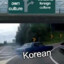 Korean pig