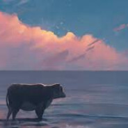 CowbytheOcean