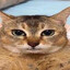็