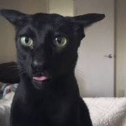 duduzikadabld