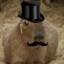 Enlightened Capybara