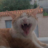 Alexj