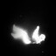 somnus's avatar