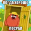 ykysimenapchela