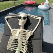 偷包狗，还退款不给活