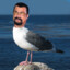 Steven Seagull