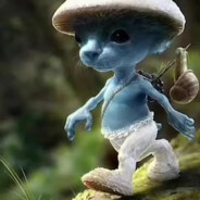 We Live We Love We Lie