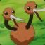 Le Flying Doduo