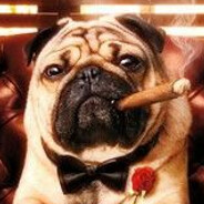 Мопсотрясик