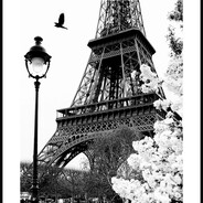 Adolfs secret holiday in paris