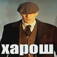 zivpo - steam id 76561199655221934