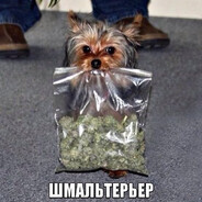 SMO такса
