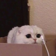 他张开了臭烘烘的嘴巴