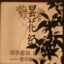 看见你在偷纸