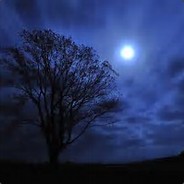 幽灵指挥家狙爷