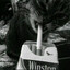 wxnt