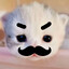 KennyS